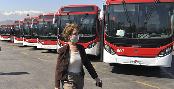 127 nuevos buses ecológicos con estándar Red para 20 comunas del Gran Santiago